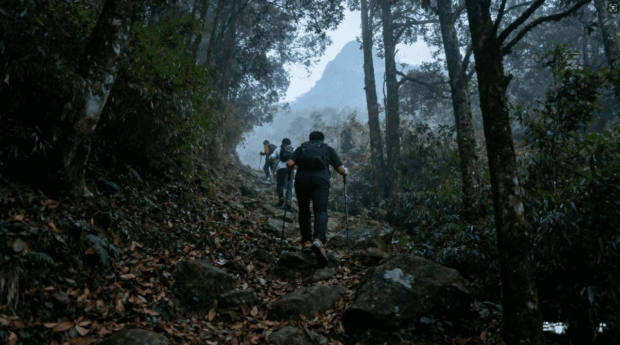 战斗吧蘑菇君日服加速器对比：哪个最适合你的游戏需求